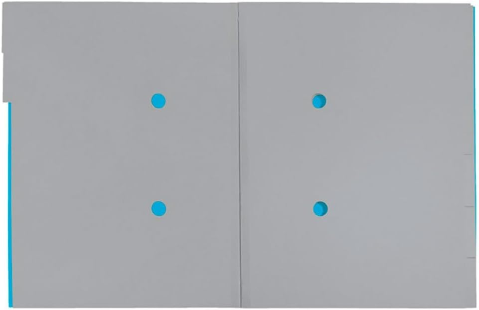 LEITZ Chemise trieur Recycle, A4, carton, bleu - Cartouchify