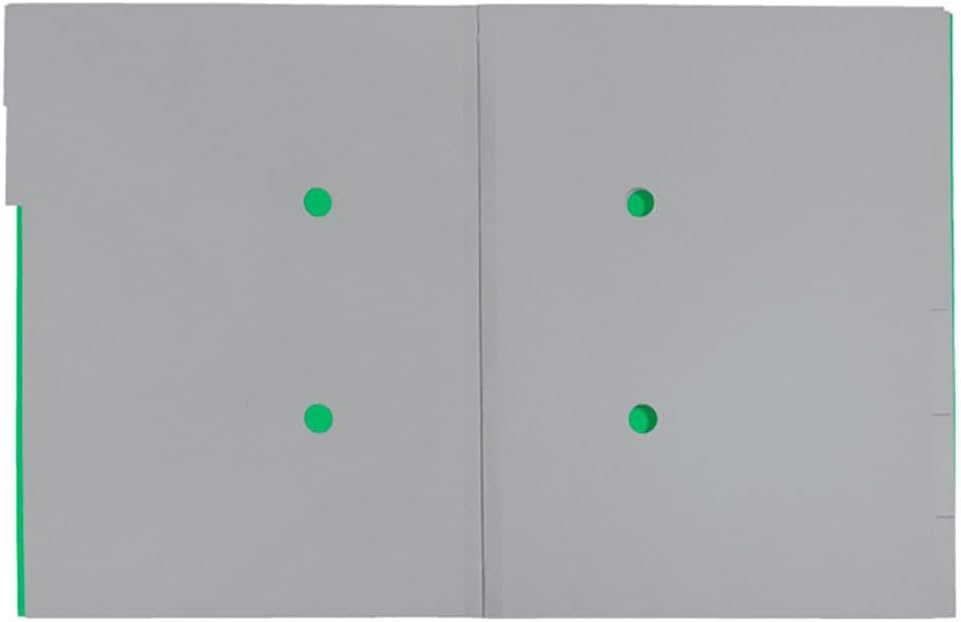 LEITZ Chemise trieur Recycle, A4, carton, vert - Cartouchify