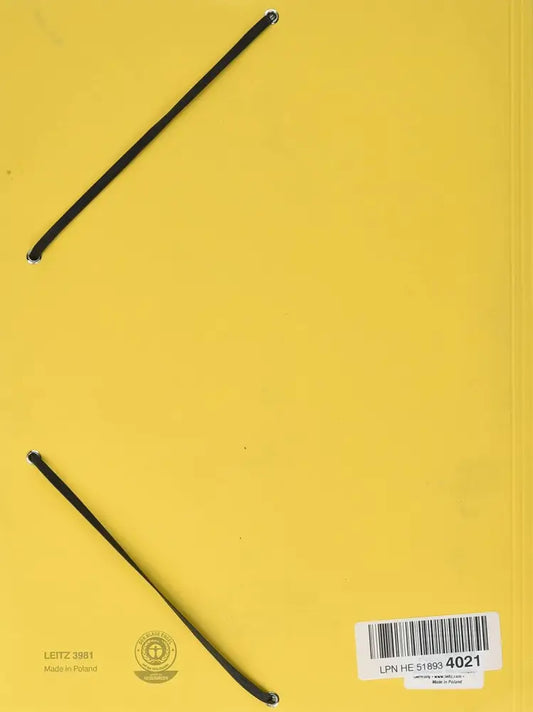 LEITZ Chemise à élastique format A4 carton 320 g/m2 - Chemises & trieurs