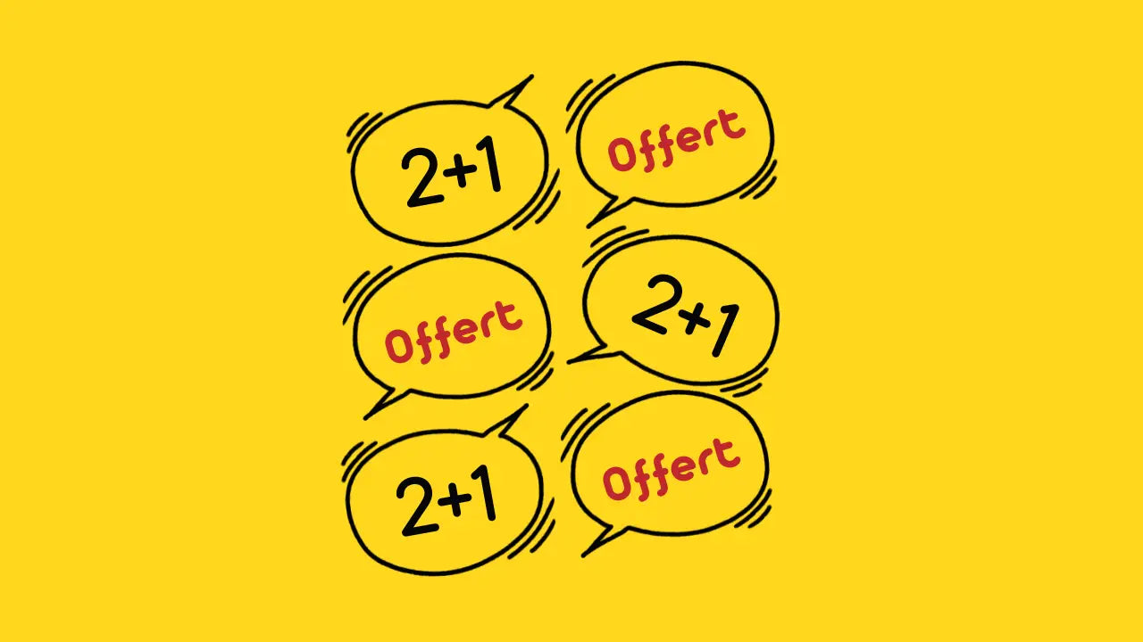 Solde Hiver 2026 - 2+1