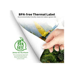 100 feuilles de papier Thermique (210x297 mm) - Blanc - Papier Phomemo