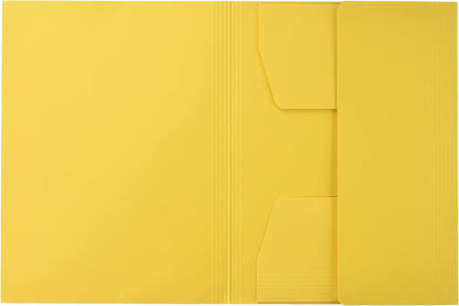 LEITZ Chemise à élastique, format A4, carton, 320 g/m2 - Cartouchify