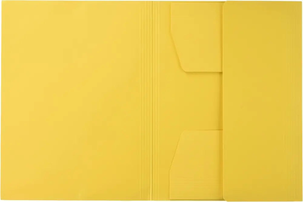 LEITZ Chemise à élastique format A4 carton 320 g/m2 - Chemises & trieurs