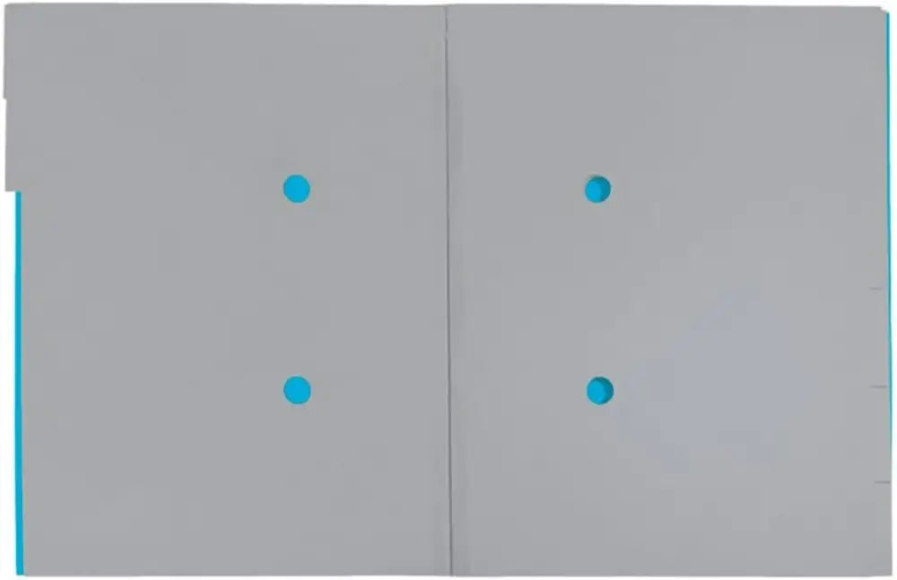 LEITZ Chemise trieur Recycle A4 carton bleu - Chemises & trieurs