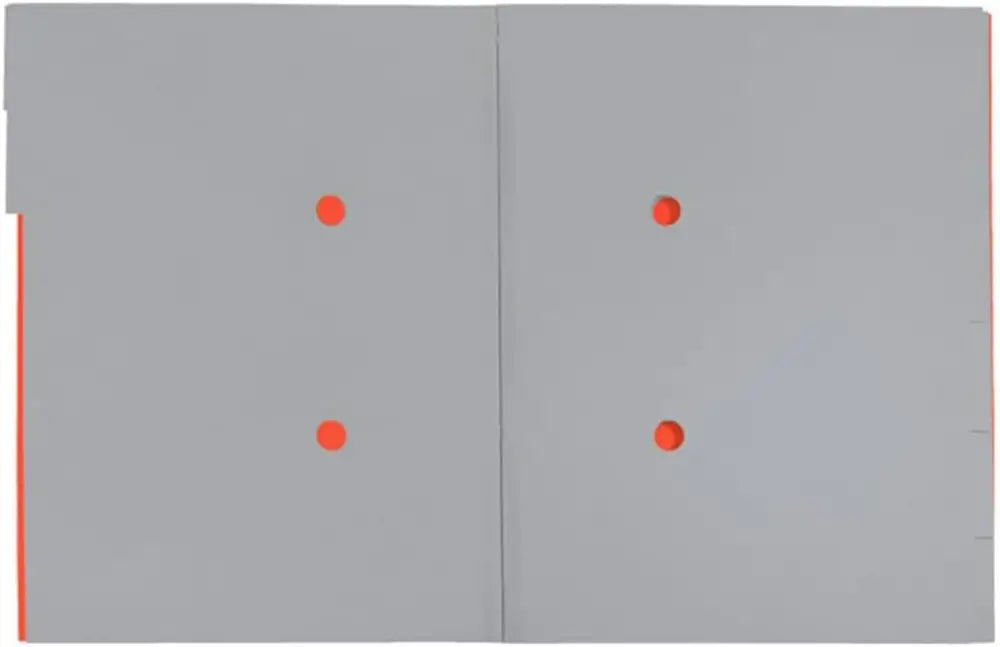 LEITZ Chemise trieur Recycle A4 carton rouge - Chemises & trieurs