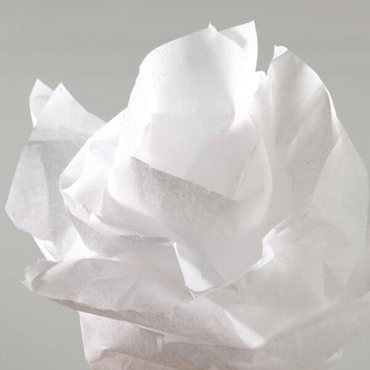 CANSON Papier de soie, 0,5 x 5,0 m, 20 g/m2, blanc