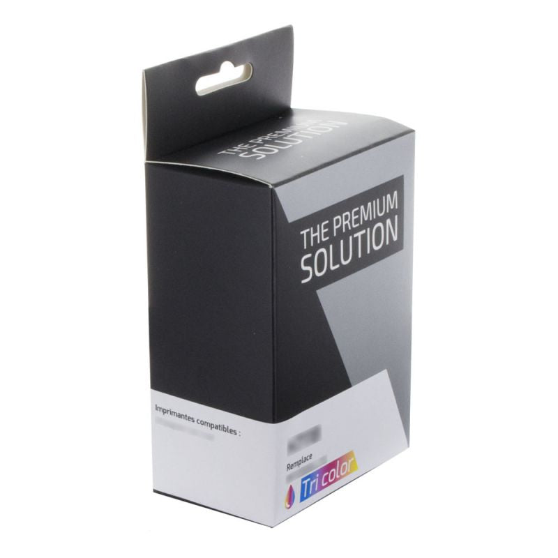 Epson T001 - PAON, Cartouche Cyan - Magenta - Jaune - Light - compatible - The Premium Solution